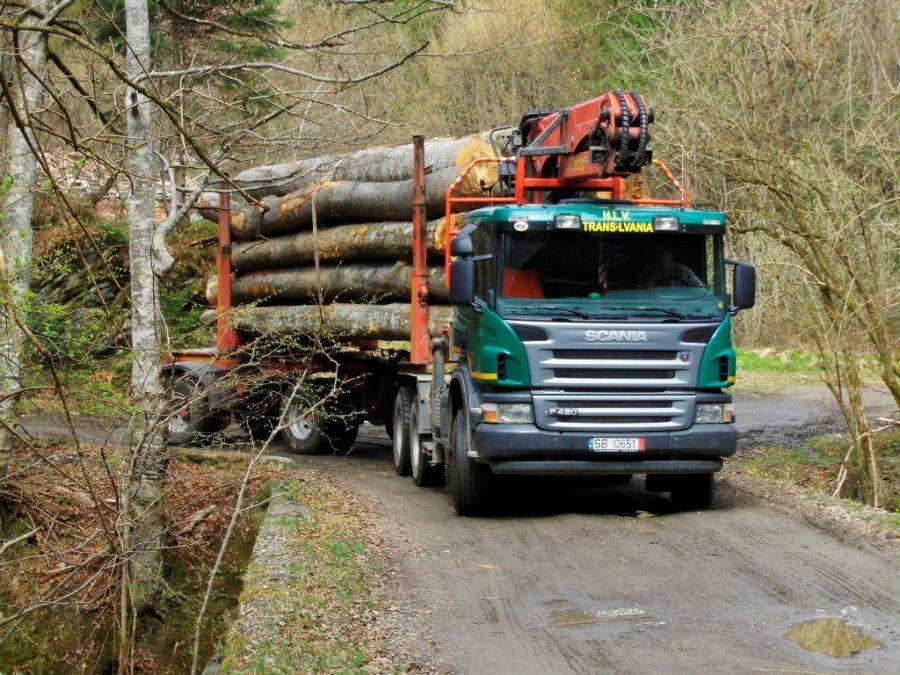  Scania P420 6x6 Timber Truck 2004 года  (фото 1 из 1)